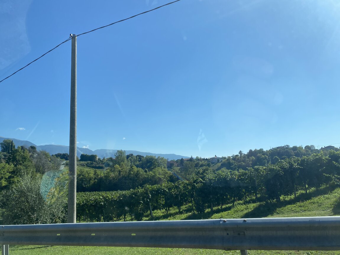 026B8926-AE60-4FAE-893D-F51325AE9EDA.jpeg