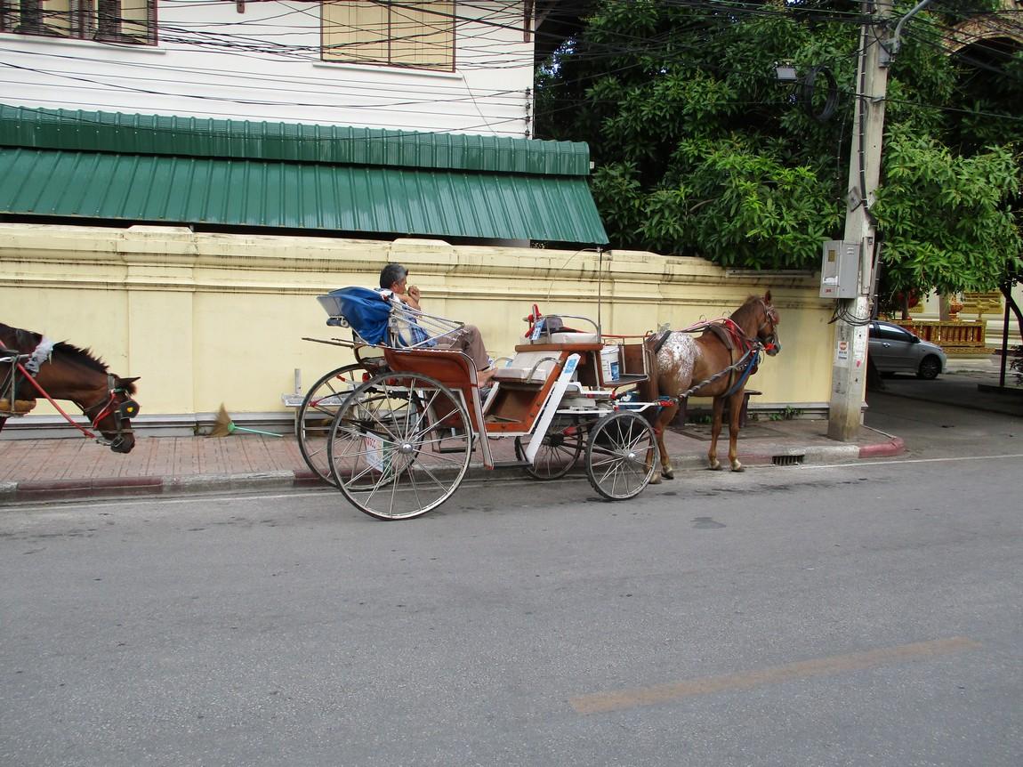 10-pin-hotel-lampang-4-horse.jpg