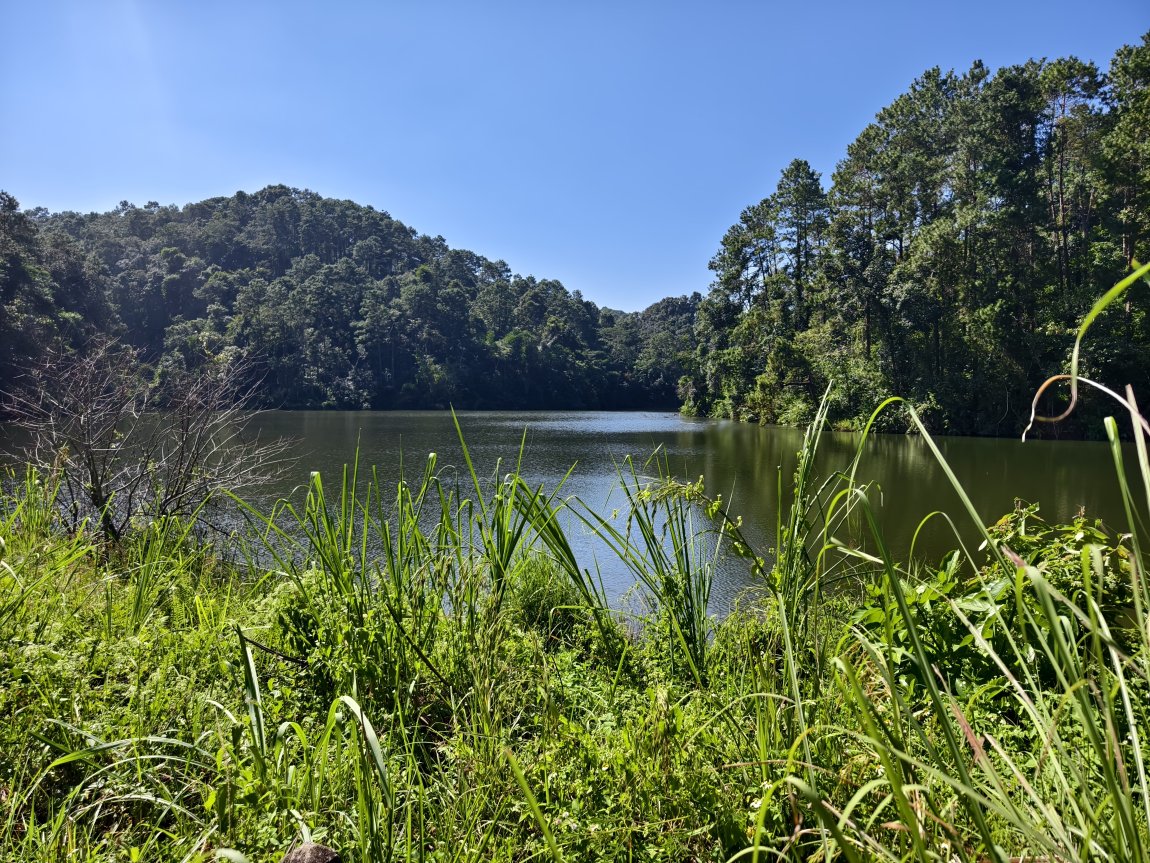 1000008171.jpg 1000008171.jpg