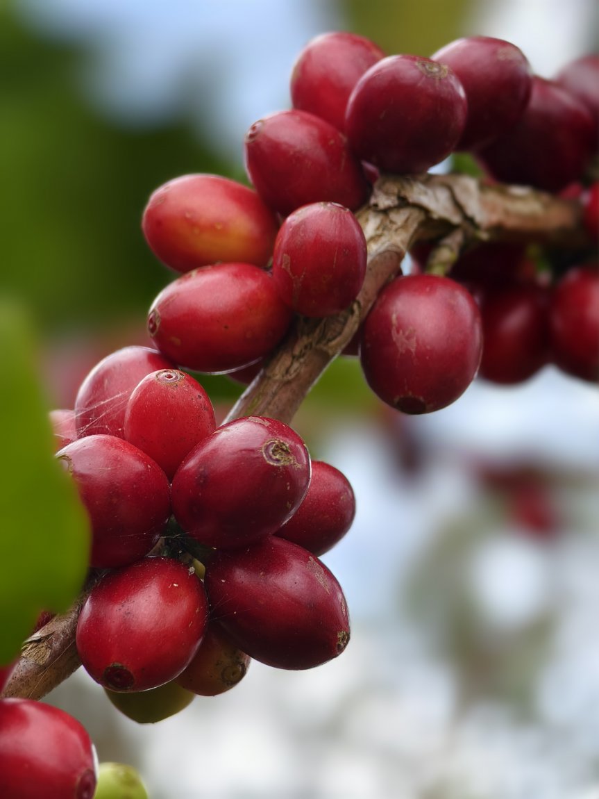 1000008947.jpg 1000008947.jpg