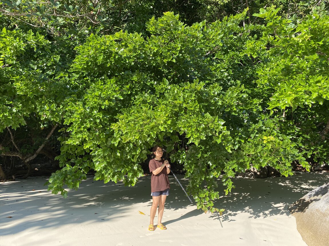 10366512-F8A9-460F-8D46-308A00C52DDC.jpeg 10366512-F8A9-460F-8D46-308A00C52DDC.jpeg