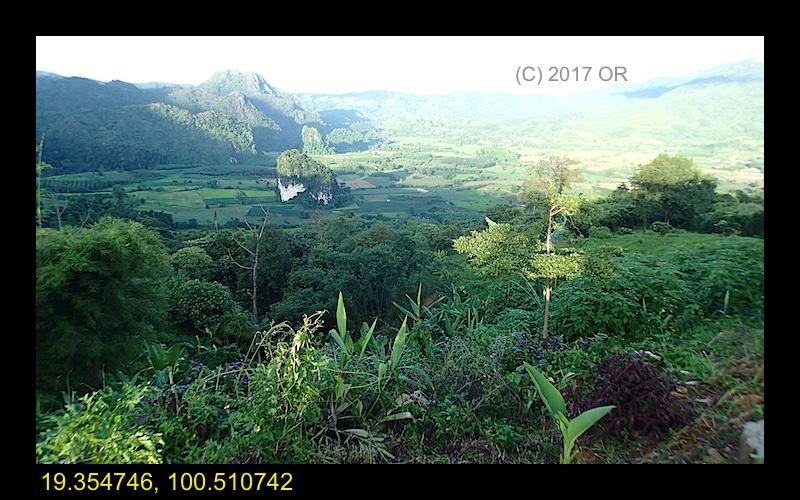 1148 Golden Hour 6.jpg