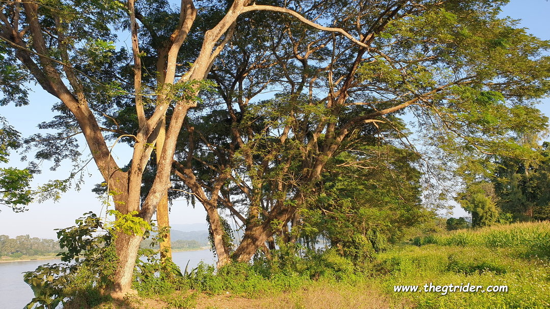 1638985607729.png 1638985607729.png