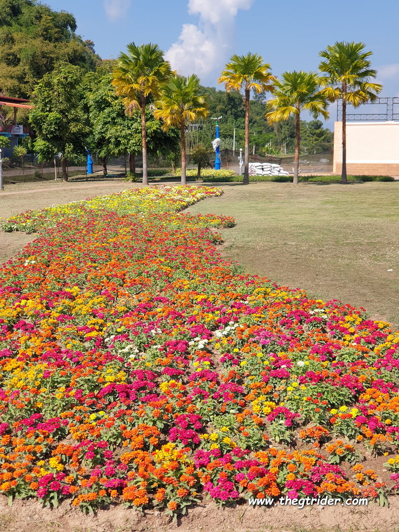 1639577955119.png 1639577955119.png