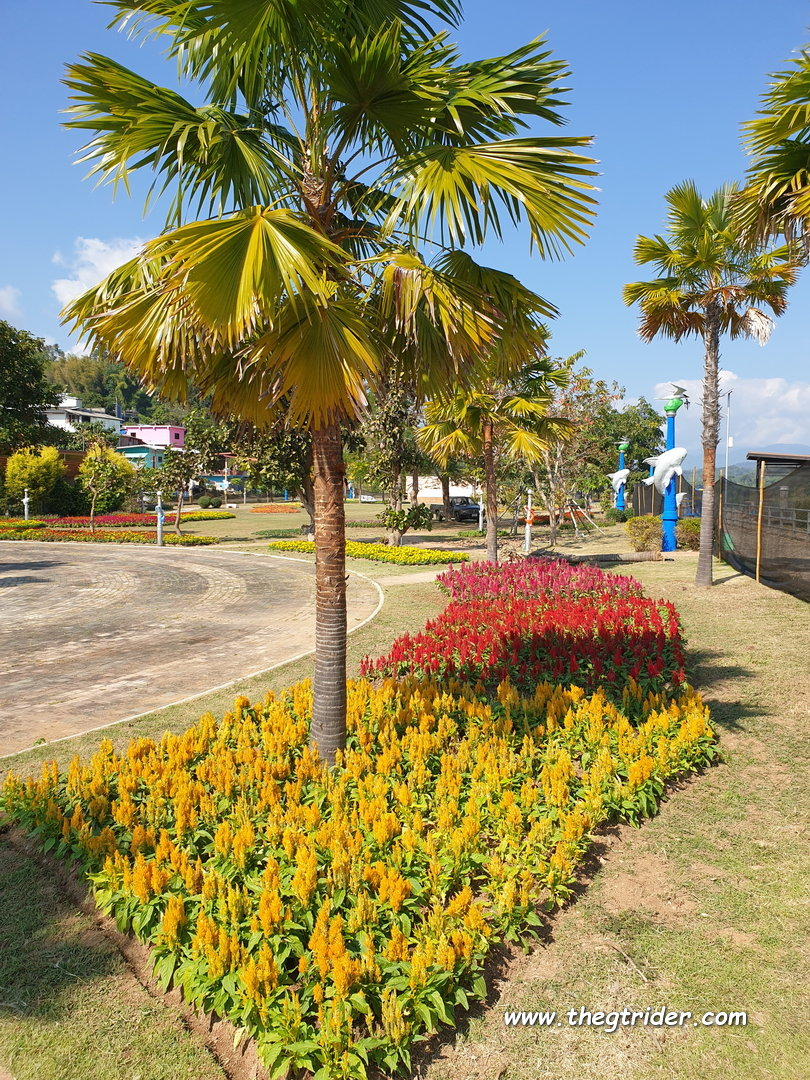 1639578456712.png 1639578456712.png