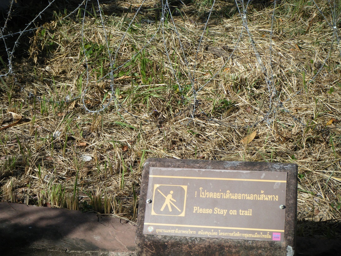 1641702291263.jpeg 1641702291263.jpeg