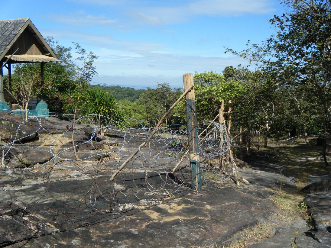 1641702323121.jpeg 1641702323121.jpeg