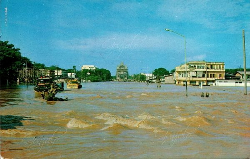 1722619271855.jpeg 1722619271855.jpeg