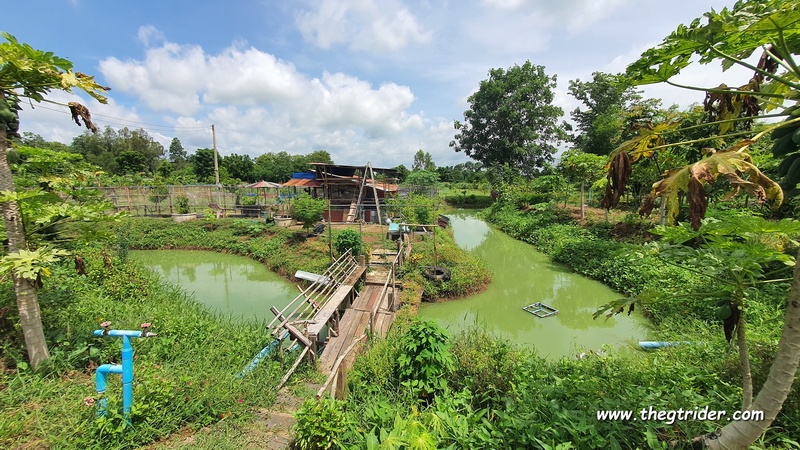 1722787665081.jpeg 1722787665081.jpeg