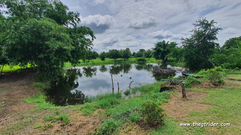 1722787788008.jpeg 1722787788008.jpeg