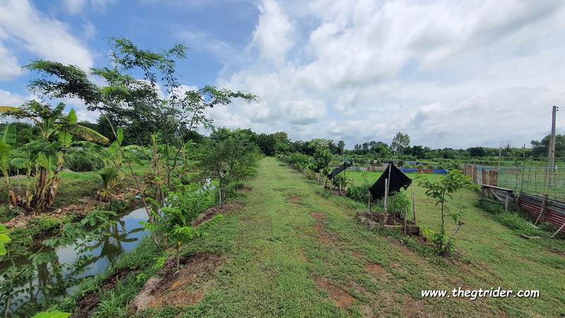 1722787815116.jpeg 1722787815116.jpeg