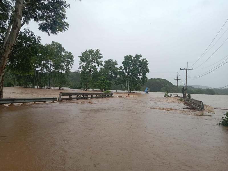 1724258420845.jpeg 1724258420845.jpeg