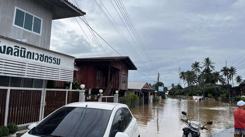 1724258434670.jpeg 1724258434670.jpeg