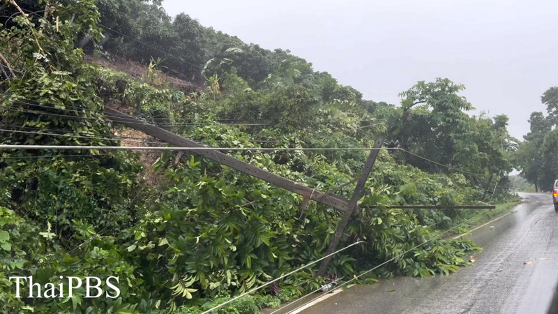 1724259104085.jpeg 1724259104085.jpeg