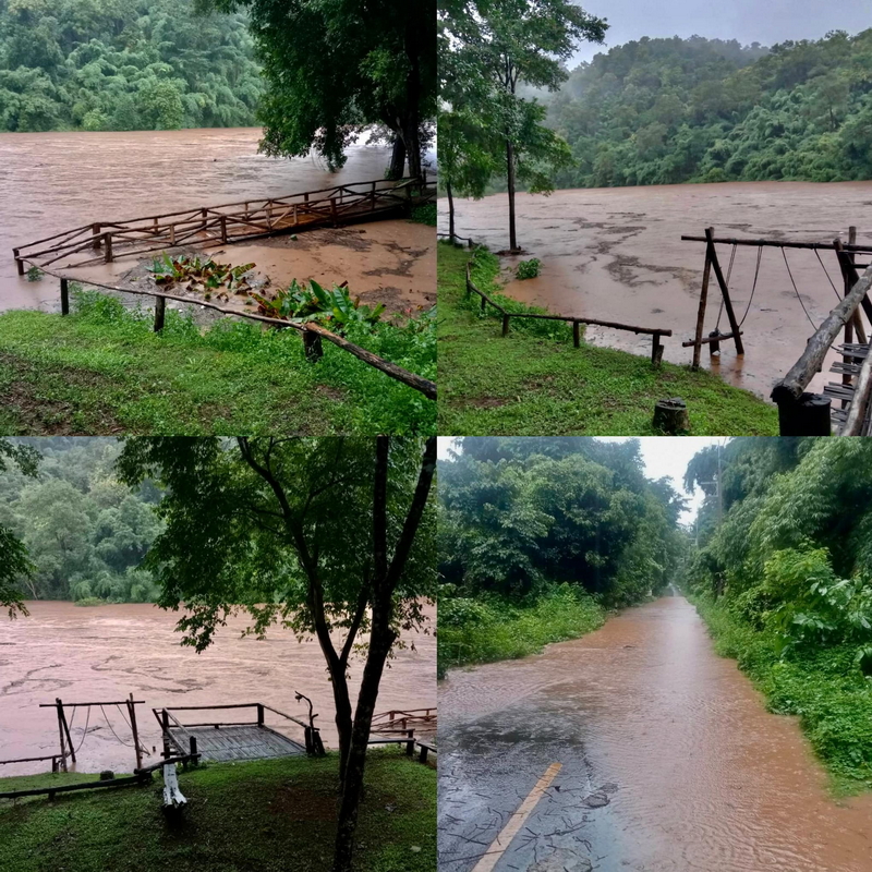 1724259656474.jpeg 1724259656474.jpeg