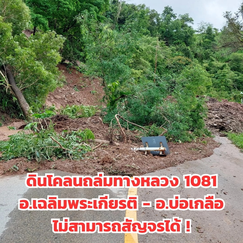 1724259794582.jpeg 1724259794582.jpeg