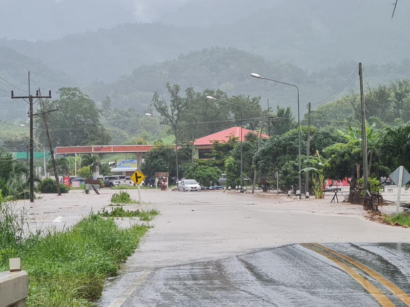 1724260136143.jpeg 1724260136143.jpeg