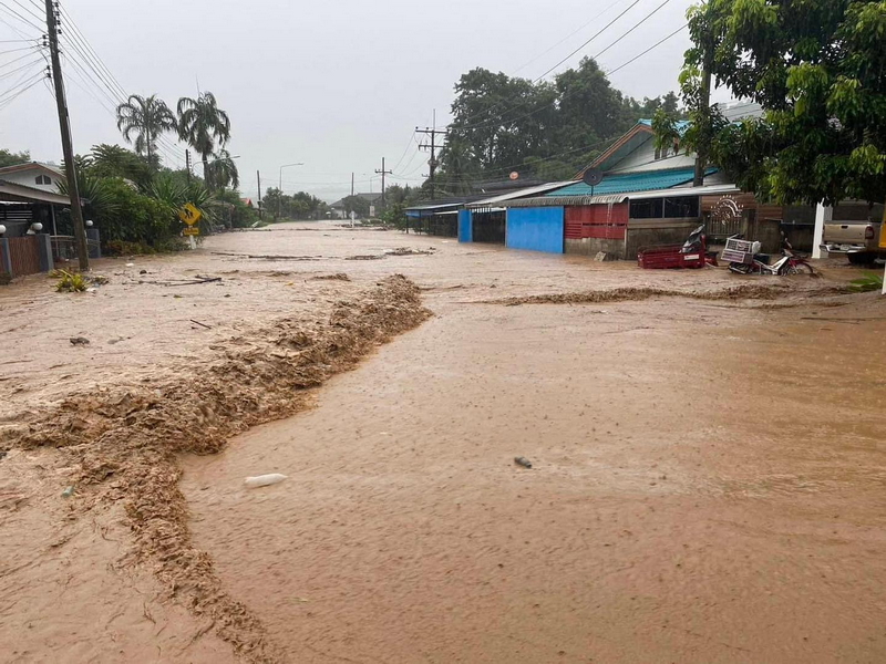 1724260164275.jpeg 1724260164275.jpeg