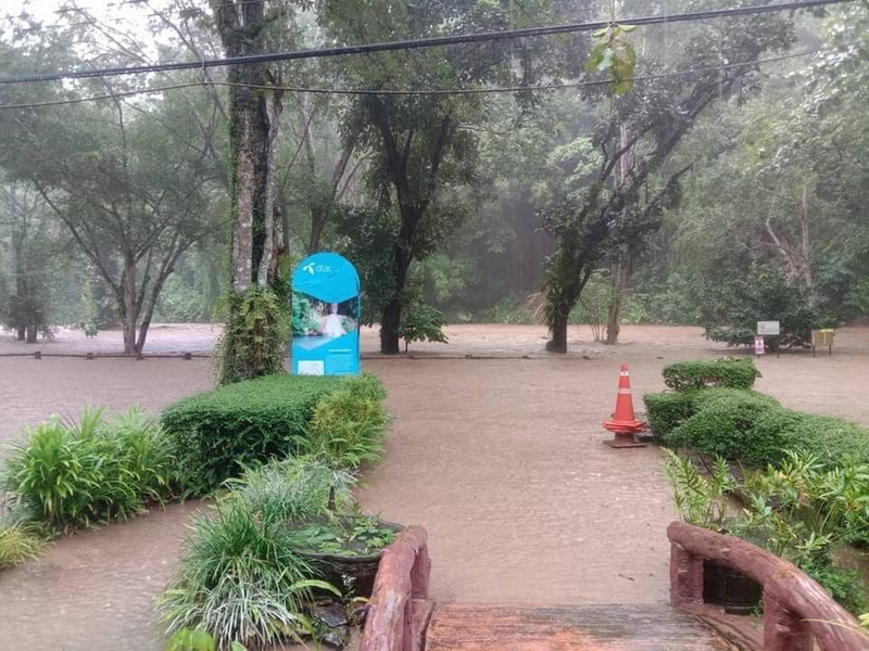 1724261988398.jpeg 1724261988398.jpeg