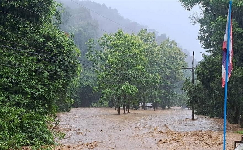 1724262002195.jpeg 1724262002195.jpeg