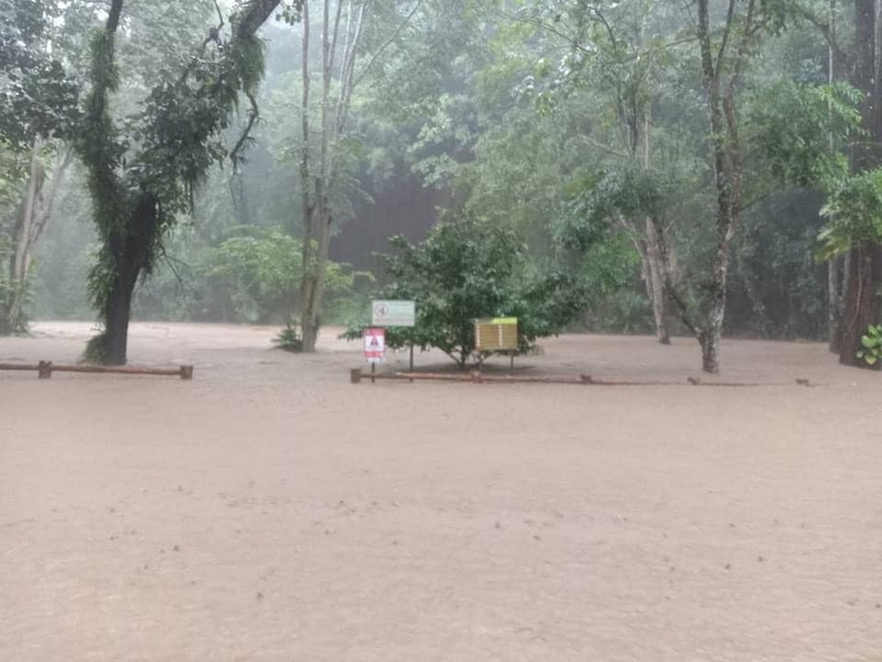 1724262015236.jpeg 1724262015236.jpeg