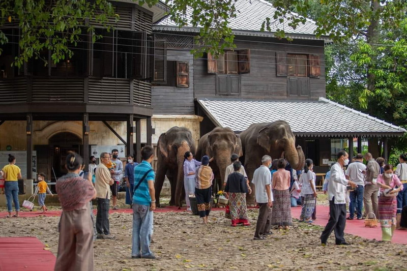 1732602600528.jpeg 1732602600528.jpeg