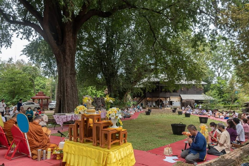 1732602804084.jpeg 1732602804084.jpeg