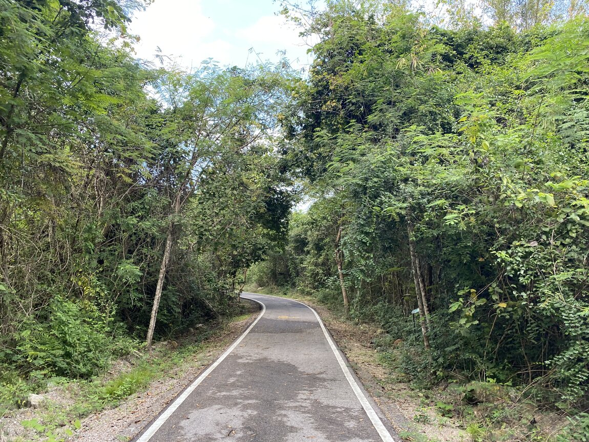 1C278297-674C-4A54-BDA4-9AA4477877D3.jpeg 1C278297-674C-4A54-BDA4-9AA4477877D3.jpeg