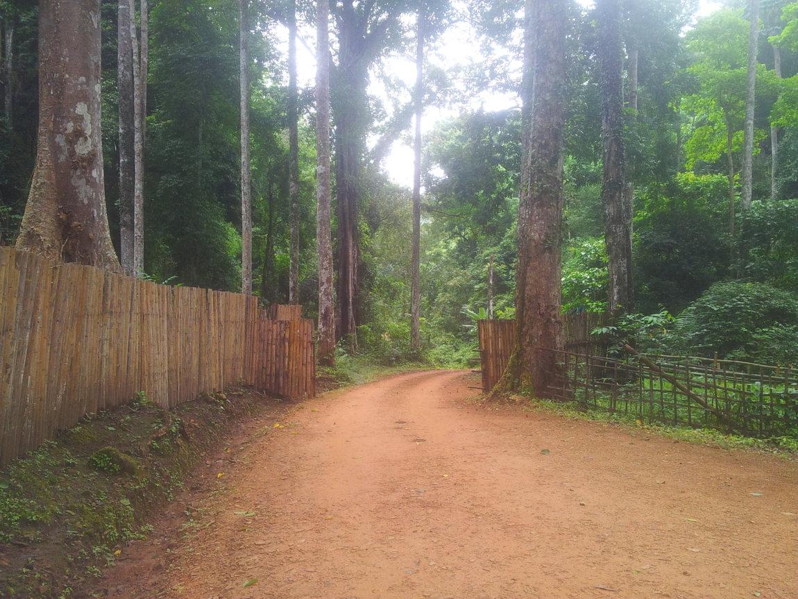 2014-07-29 10.27.36.jpg