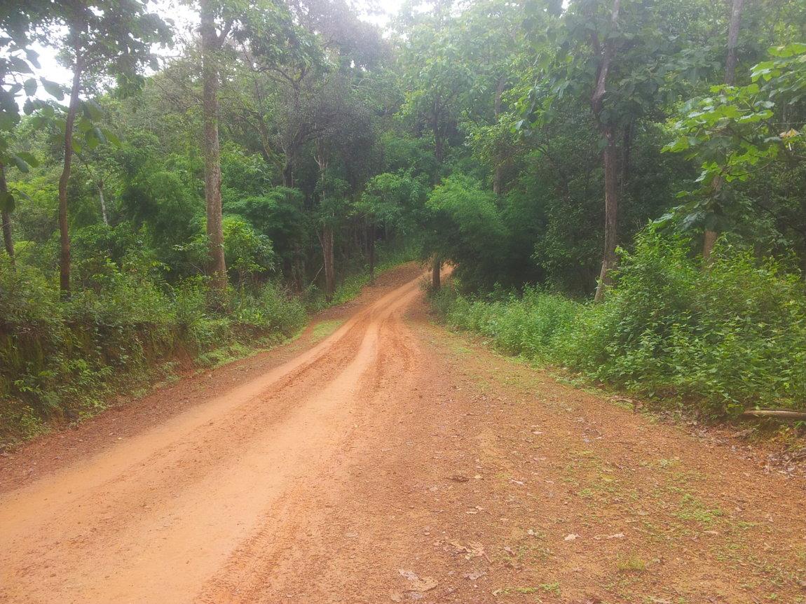 2014-07-29 10.39.22.jpg