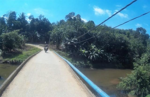 2014_0101_004817_092.jpg 2014_0101_004817_092.jpg