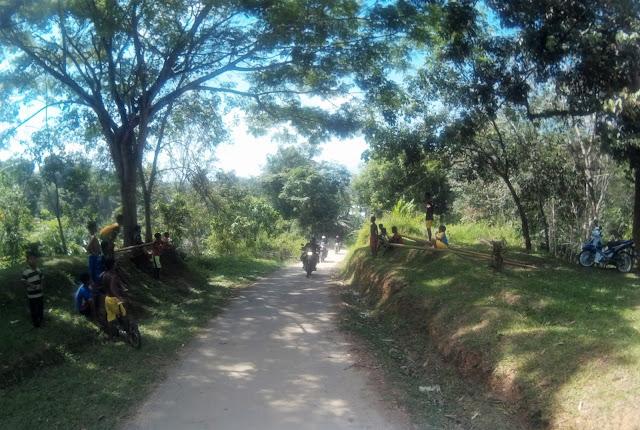 2014_0101_005110_147.jpg 2014_0101_005110_147.jpg