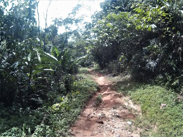 2014_0101_005922_179%2B%25282%2529.jpg