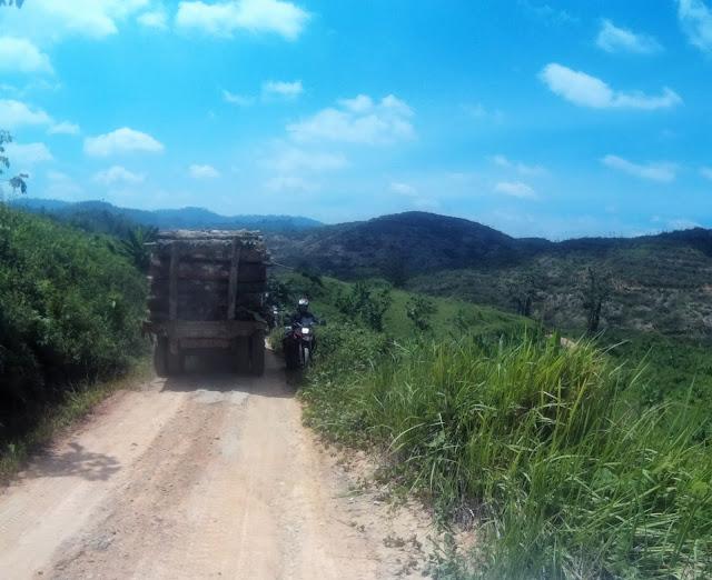 2014_0101_010830_477.jpg 2014_0101_010830_477.jpg