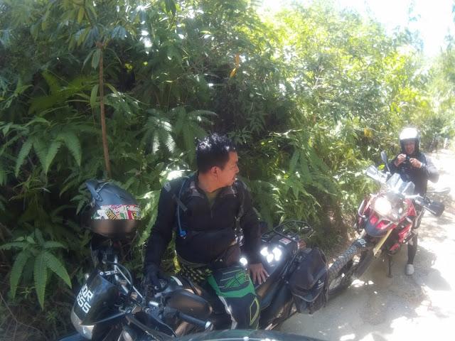 2014_0101_012951_884.jpg 2014_0101_012951_884.jpg