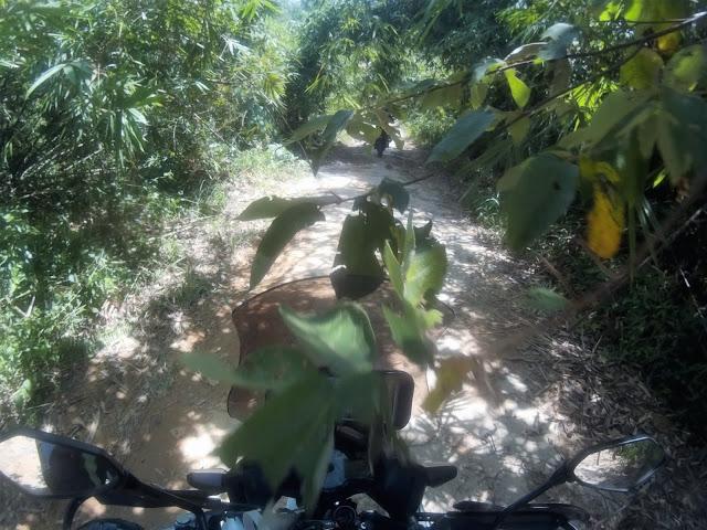 2014_0101_014143_1110.jpg 2014_0101_014143_1110.jpg