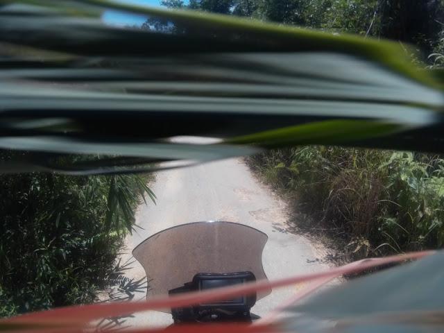 2014_0101_014208_1118.jpg 2014_0101_014208_1118.jpg