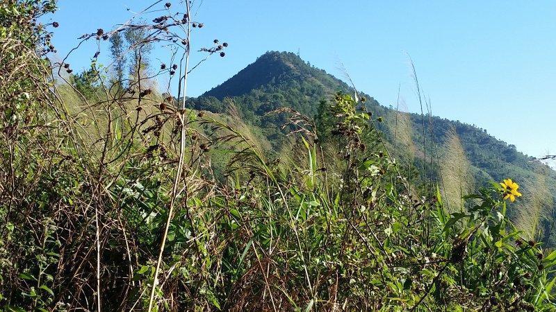 2016-12-22 09.45.06.jpg