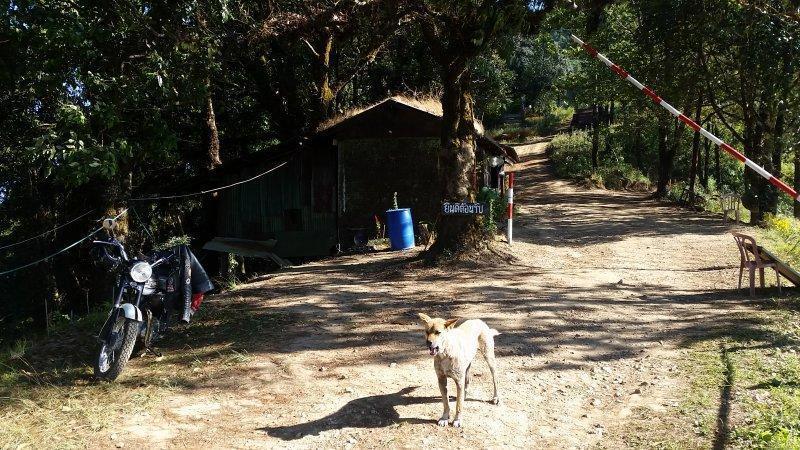 2016-12-22 09.55.10.jpg