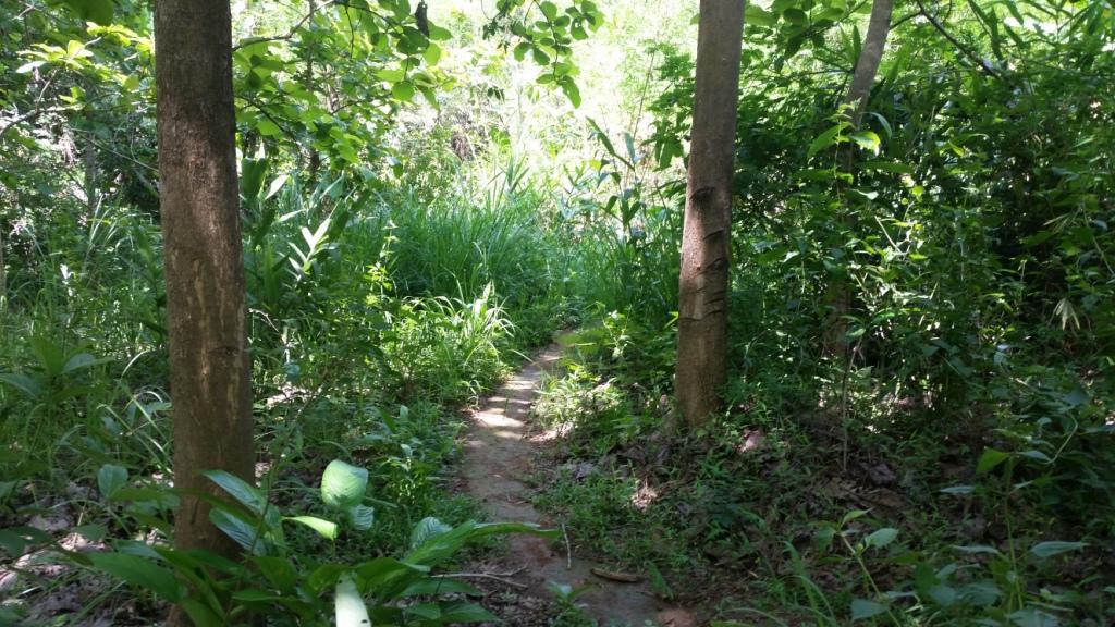 2017-06-02 13.48.05.jpg