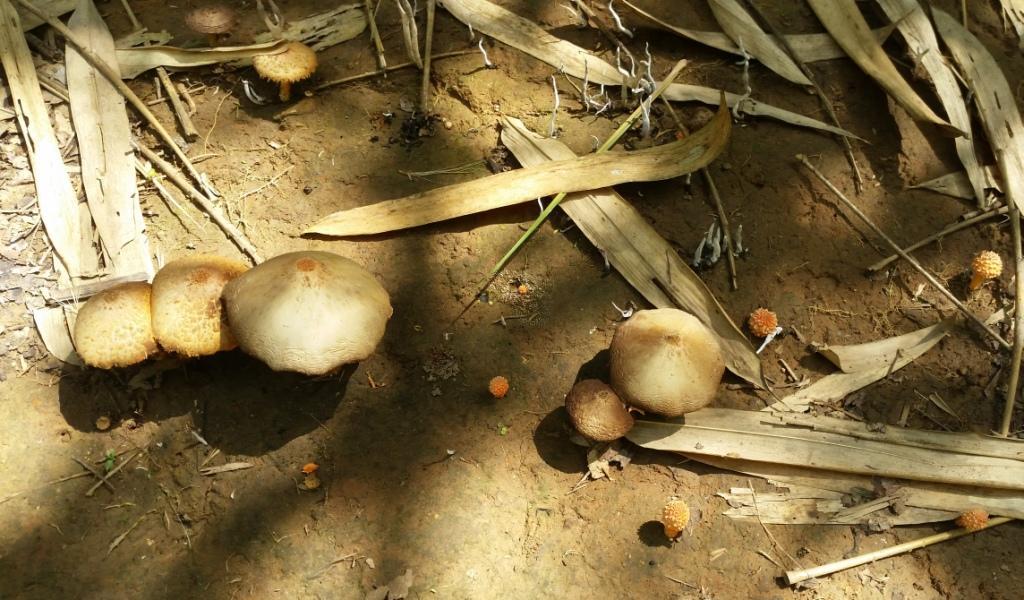 2017-06-02 13.48.27.jpg