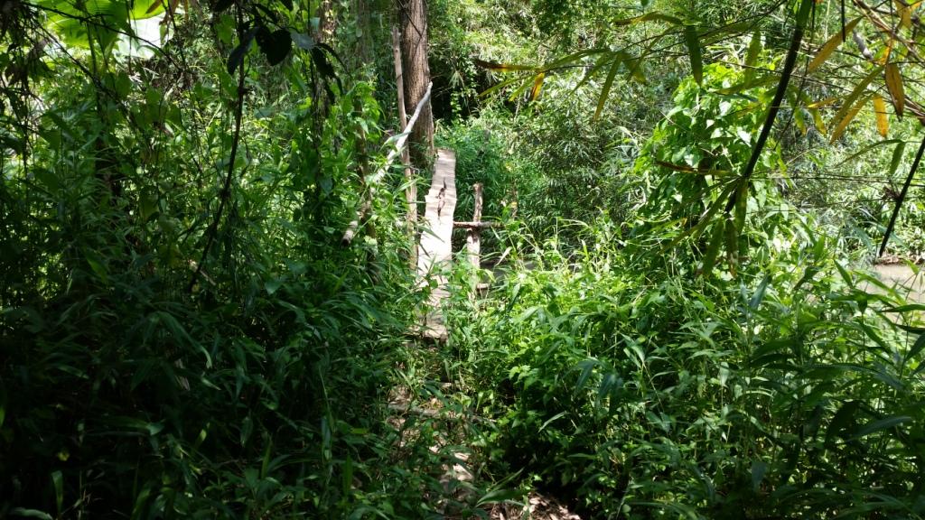 2017-06-02 13.49.05.jpg