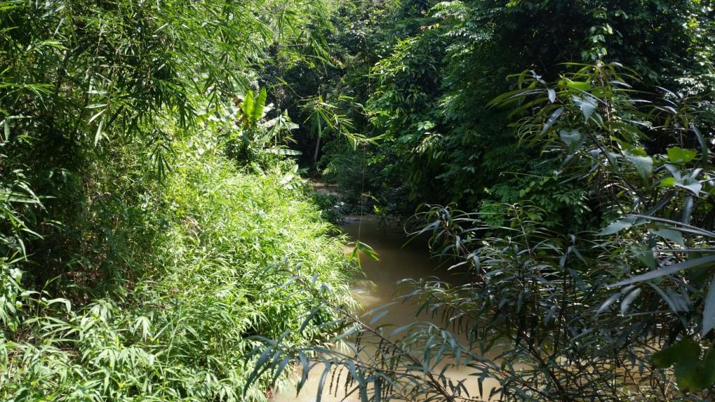 2017-06-02 13.49.31.jpg