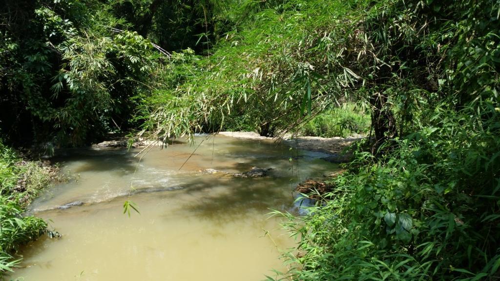 2017-06-02 13.49.37.jpg