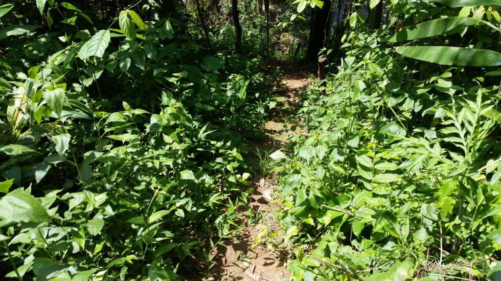 2017-06-02 13.56.36.jpg