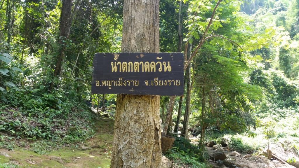 2017-06-02 13.58.29.jpg