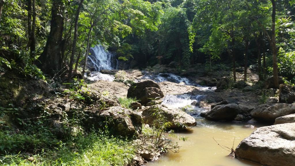 2017-06-02 14.36.10.jpg