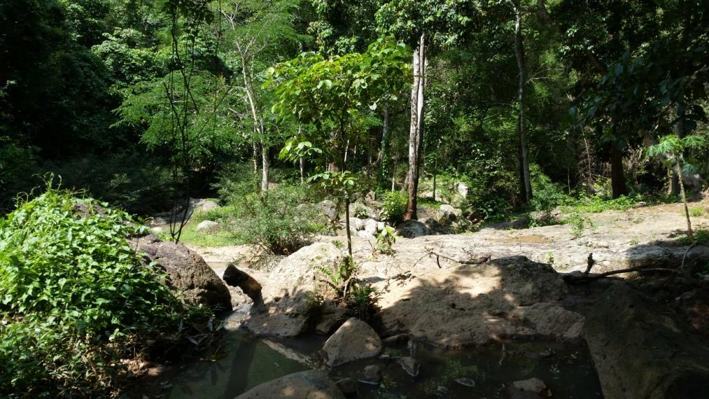 2017-06-02 14.36.16.jpg