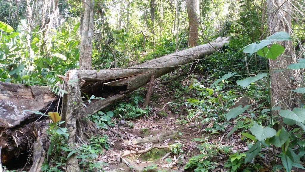 2017-06-02 14.36.46.jpg