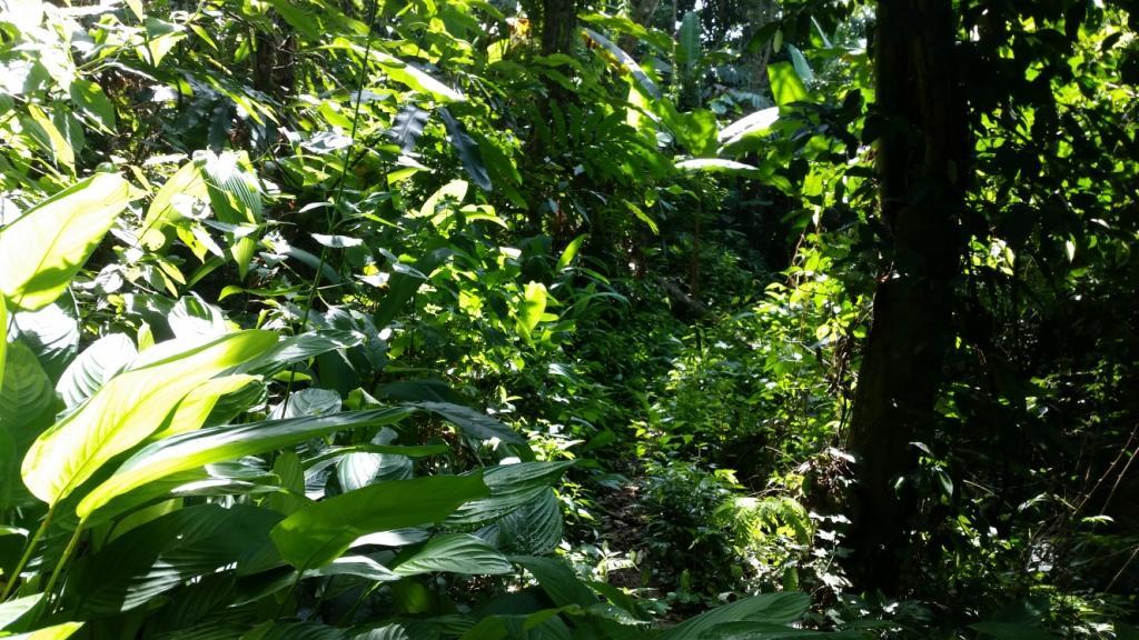 2017-06-02 14.45.50.jpg